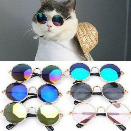 For Cat Little Dog Glasses Pet Eye Glasses Puppy Sunglasses Photos Props